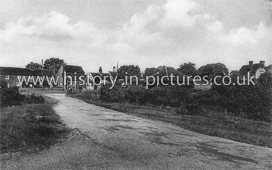 The Common and Village, Danbury, Essex. c.1918